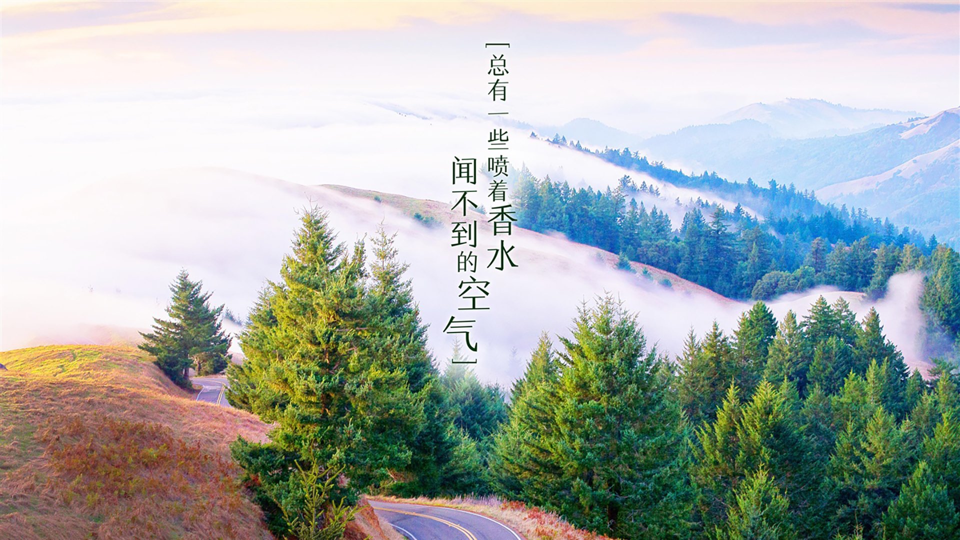 乐鱼app下载-德甲球队集成AI视频分析系统定位中后场传接失误规律，德甲转播技术