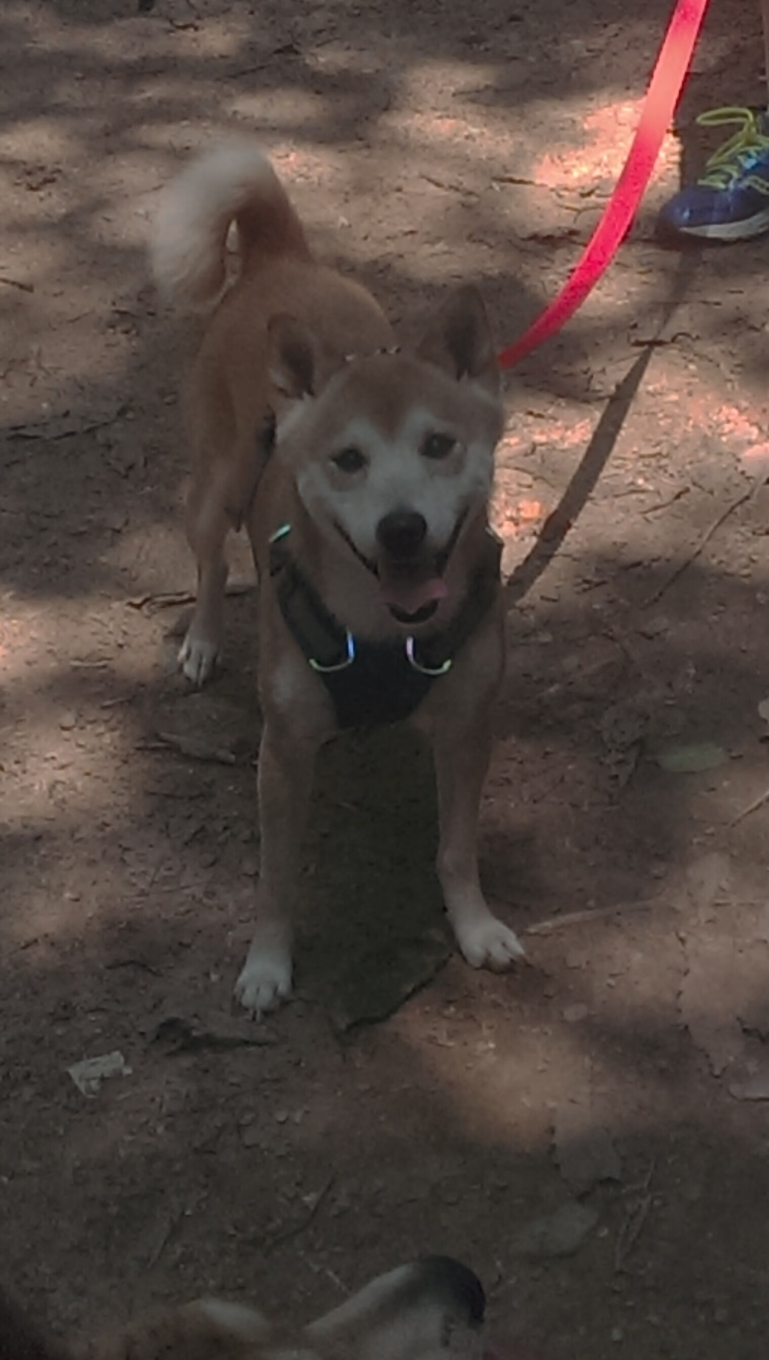 乐鱼官网介绍-英超焦点战：曼城VS阿森纳，争夺榜首宝座，曼城对战阿森纳直播