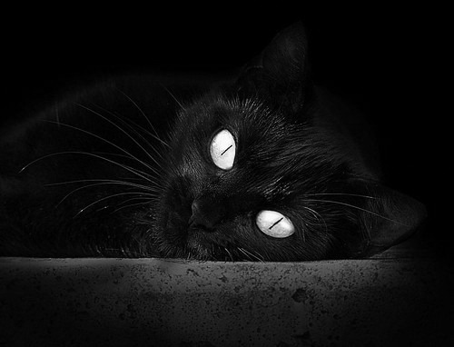 乐鱼体育官网-英超青训课程增加心理韧性训练应对高压比赛，英超本队青训