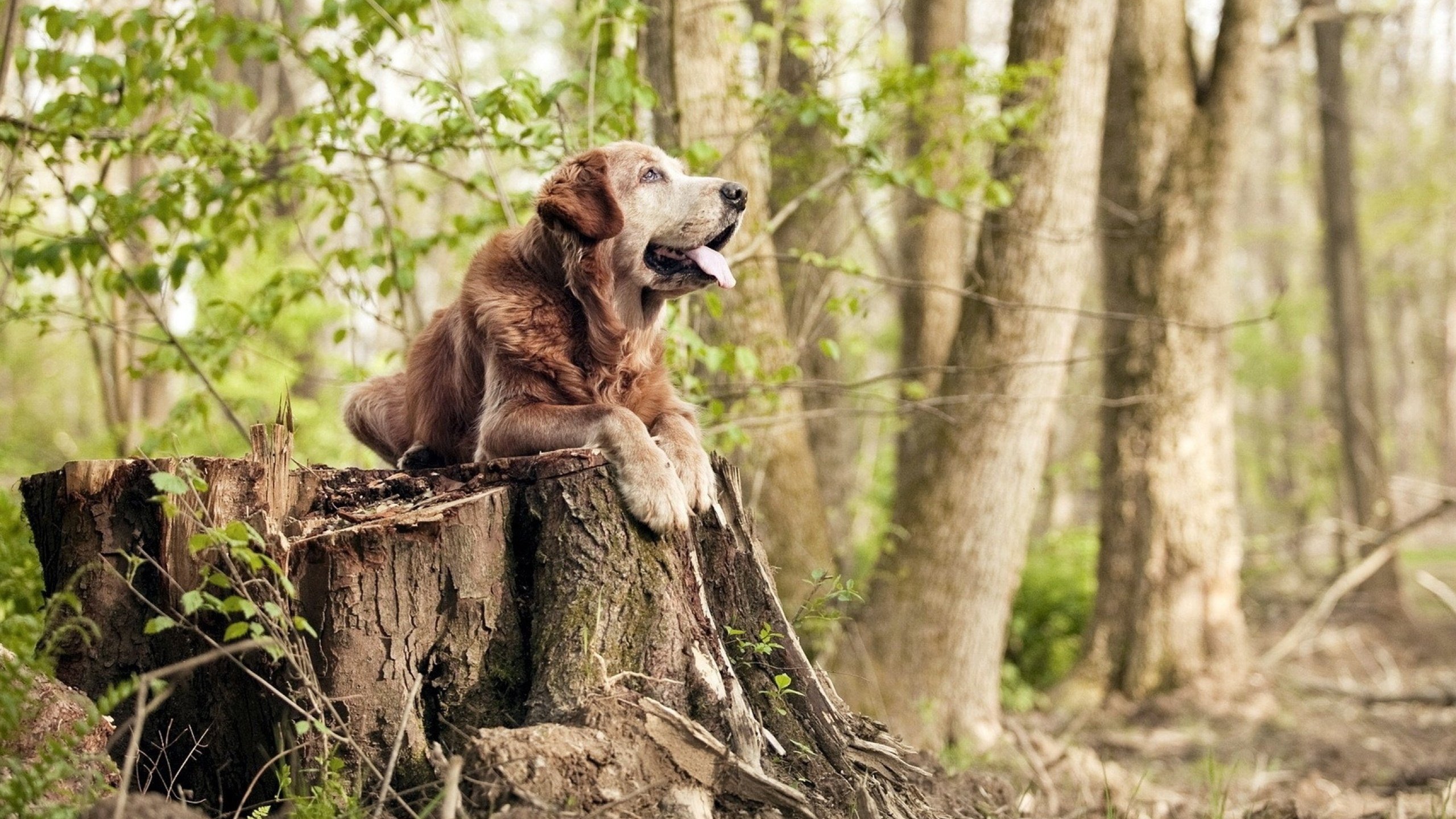 乐鱼体育入口-中国女篮保持技术动作规范，中国女篮运动