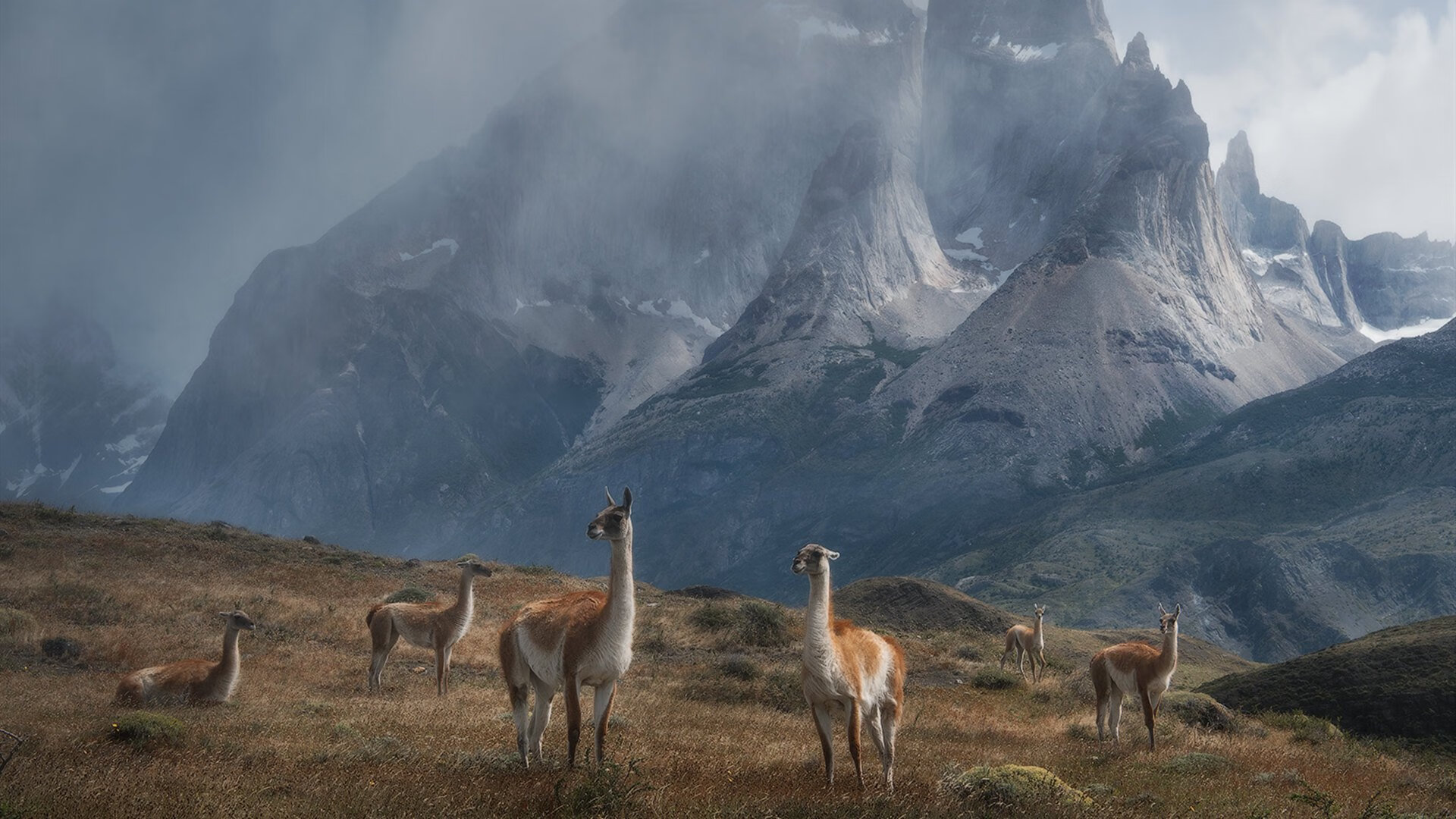 乐鱼体育app-中国篮球赛事报道内容是否过度娱乐化，中国篮球赛事报道内容是否过度娱乐化了