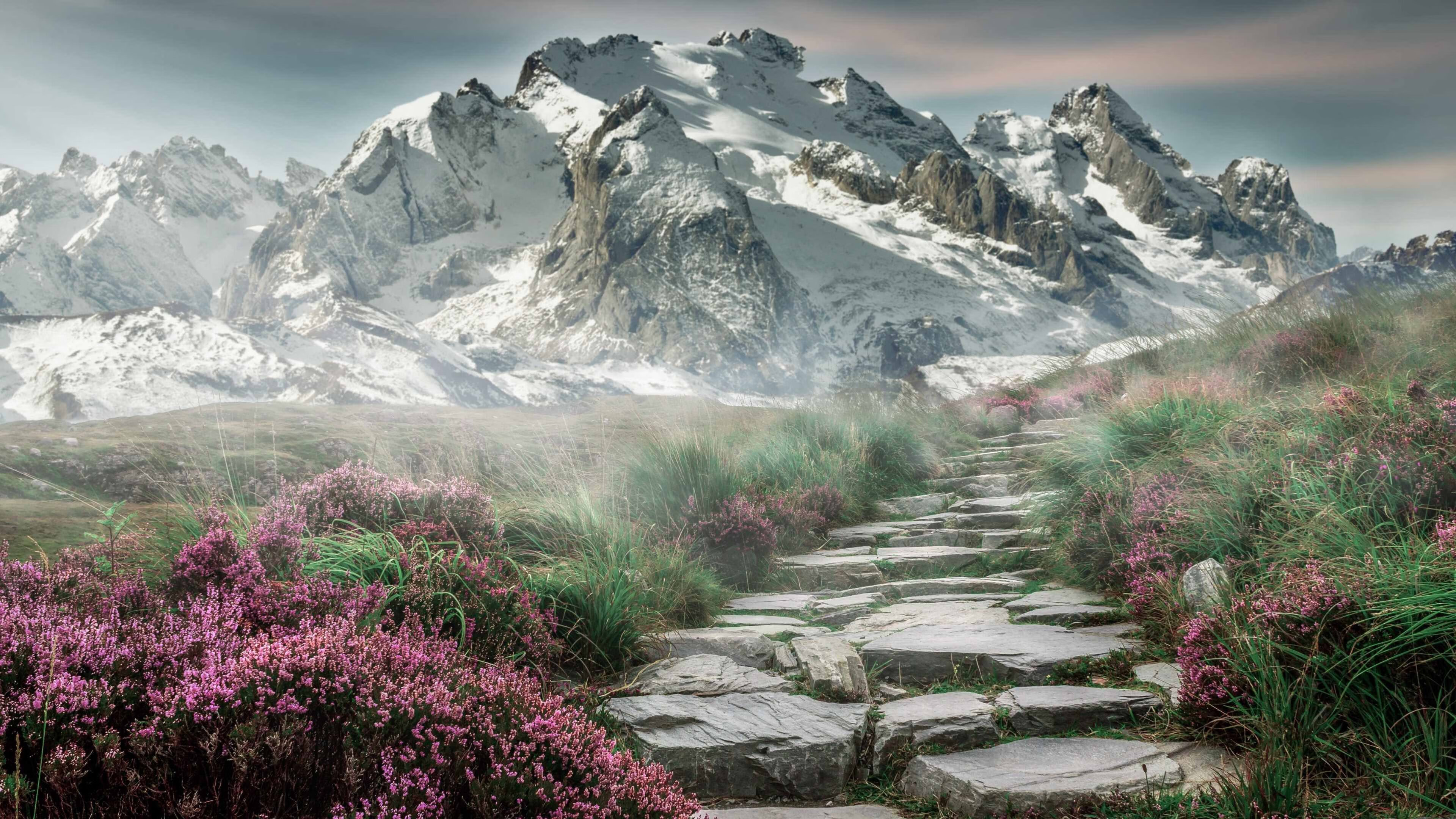 乐鱼体育app下载地址-五大联赛如何通过战术升级应对体能问题，五大联赛水平