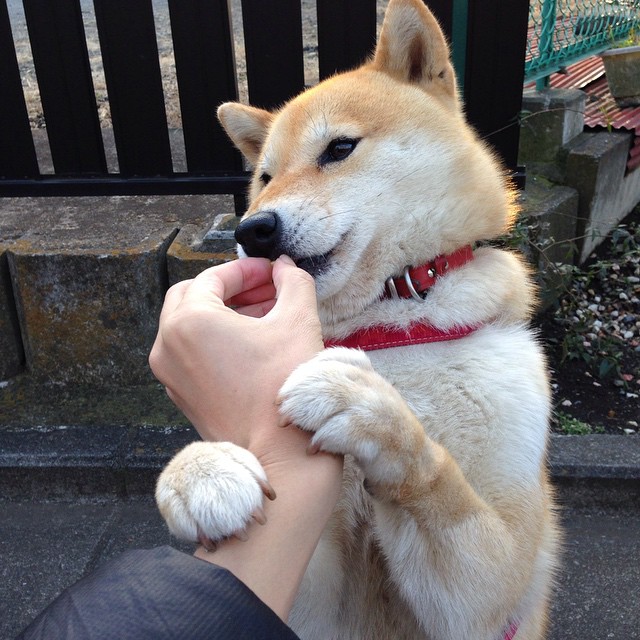 乐鱼体育app官网入口-五大联赛球队防守站位对战术风格的体现，球队防守效率排名