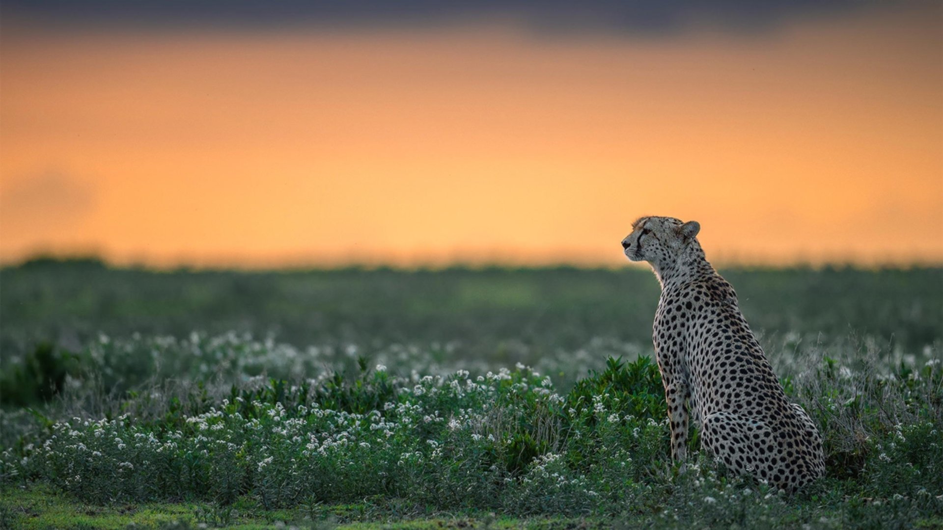 乐鱼体育app官网入口-五大联赛球队防守站位对战术风格的体现，球队防守效率排名