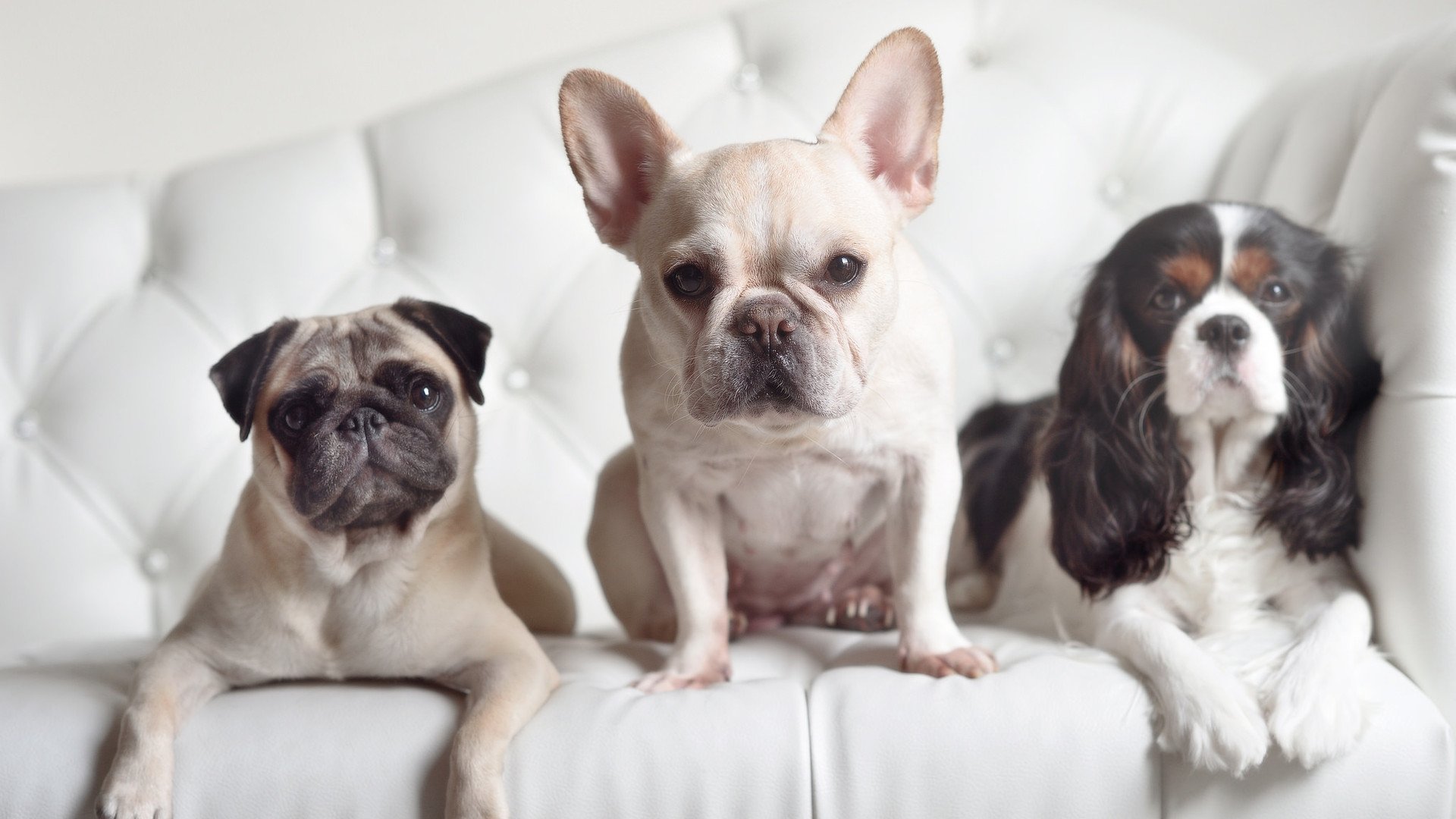 乐鱼体育app入口-印度赛制发展轨迹：怎样培养顶尖乒乓人才，印度 乒乓球