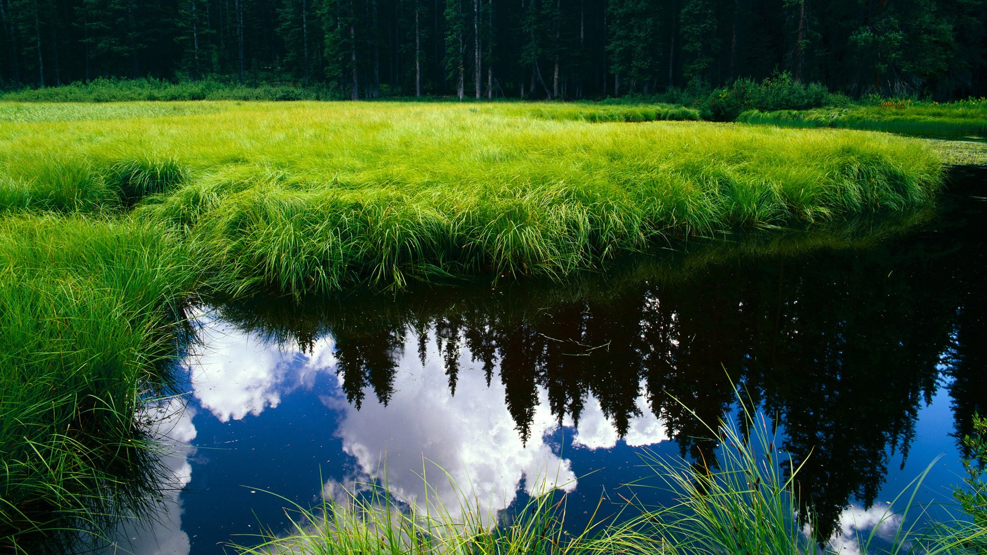 乐鱼官网安全-奥萨苏纳攻防均衡发挥稳定，奥萨苏纳竞技俱乐部