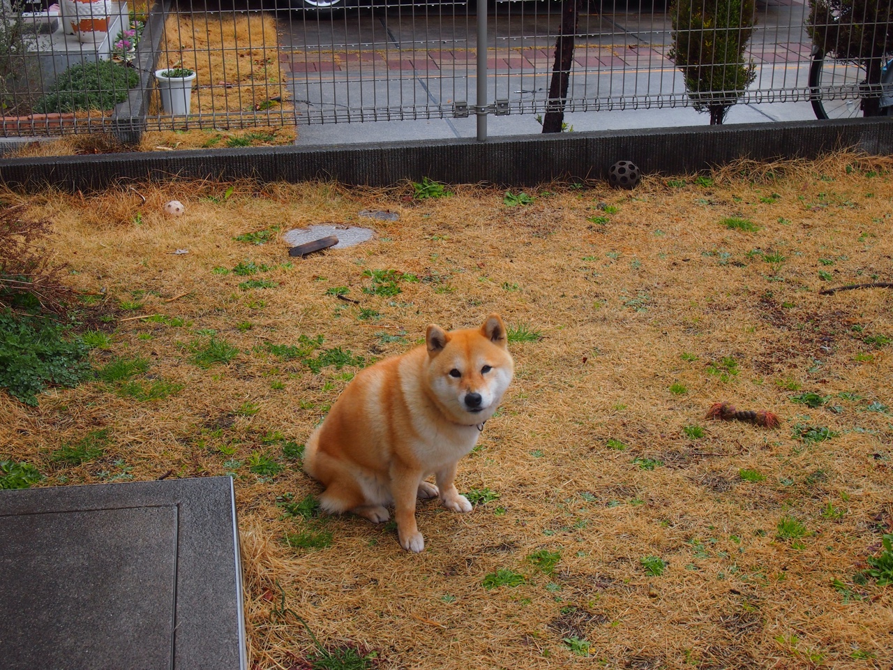 乐鱼体育平台登录-职业联赛落地城市缺乏长期球迷基础，职业联赛俱乐部