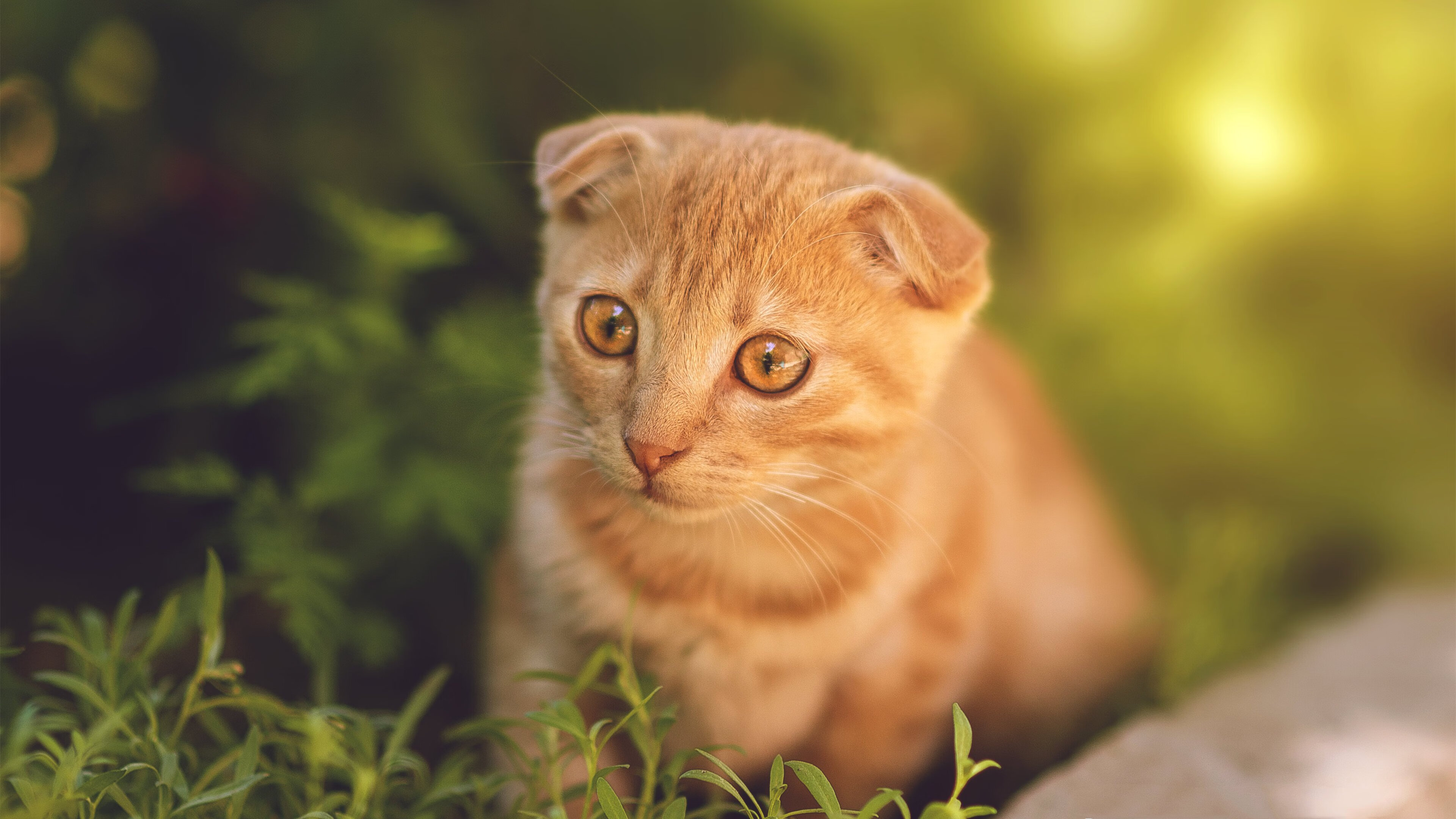 乐鱼体育登录入口-选手冲刺阶段划水频率激增，冲刺型选手