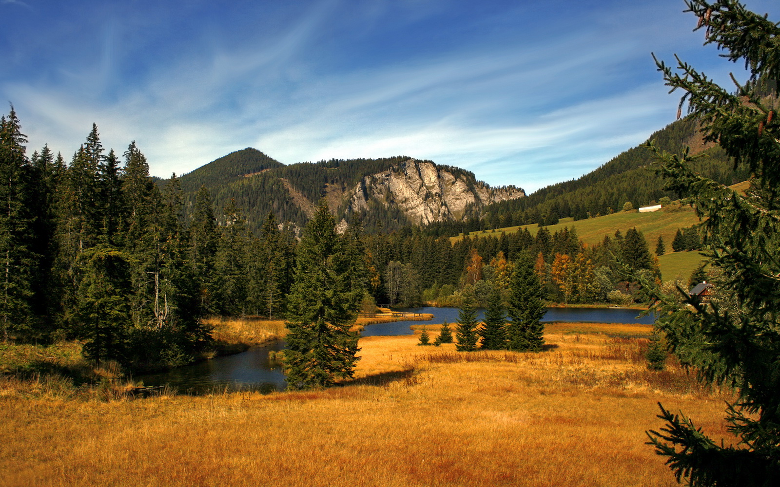 乐鱼app下载-独行侠前锋展示精准中投获得主帅信任，独行侠签约中国球员